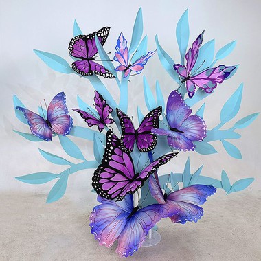 Artistic Butterfly Photography Installation