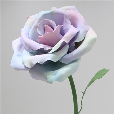 Välit hiiglane Eva roosi kaunistamise rekvisiidid